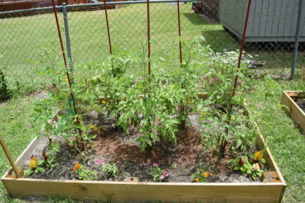Simply Green Garden